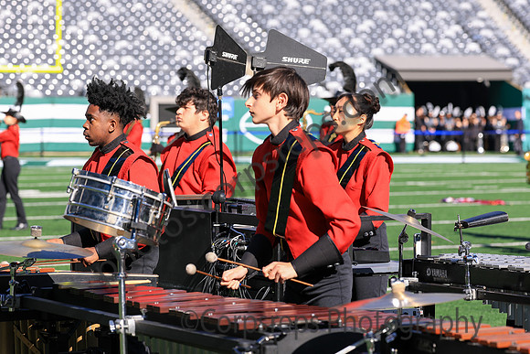 Princess Anne_251108_MetLife-jb00098
