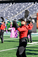 Princess Anne_251108_MetLife-jb00102