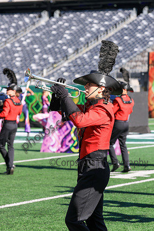 Princess Anne_251108_MetLife-jb00102