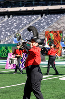 Princess Anne_251108_MetLife-jb00103