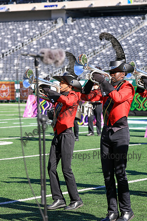 Princess Anne_251108_MetLife-jb00110