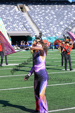 Princess Anne_251108_MetLife-jb00115