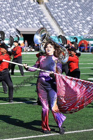 Princess Anne_251108_MetLife-jb00116