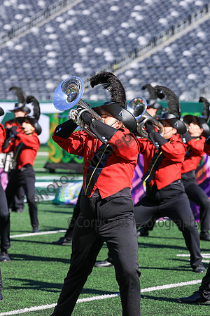 Princess Anne_251108_MetLife-jb00117