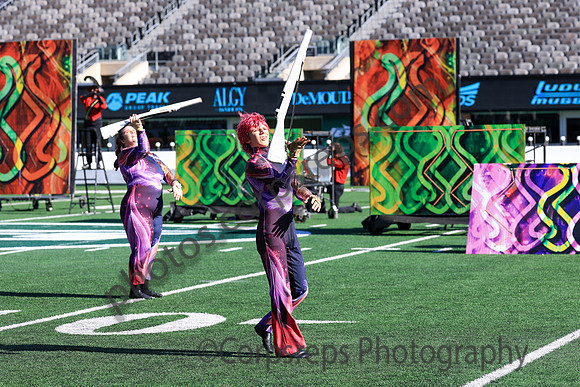 Princess Anne_251108_MetLife-jb00120
