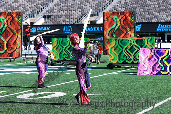 Princess Anne_251108_MetLife-jb00121