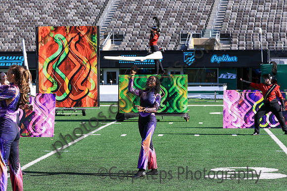 Princess Anne_251108_MetLife-jb00123