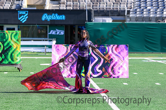 Princess Anne_251108_MetLife-jb00124