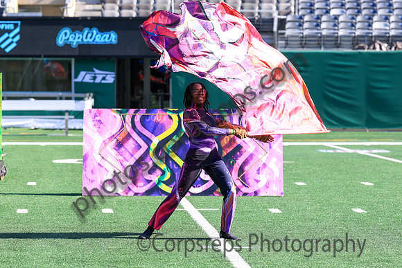 Princess Anne_251108_MetLife-jb00125