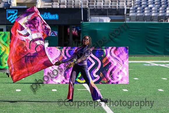 Princess Anne_251108_MetLife-jb00126