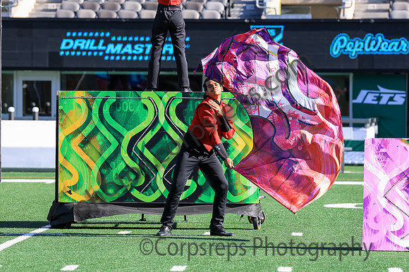 Princess Anne_251108_MetLife-jb00127