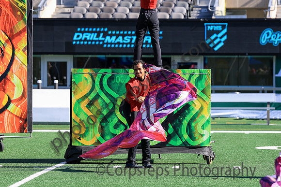 Princess Anne_251108_MetLife-jb00128
