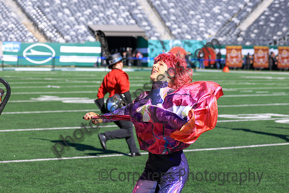 Princess Anne_251108_MetLife-jb00131