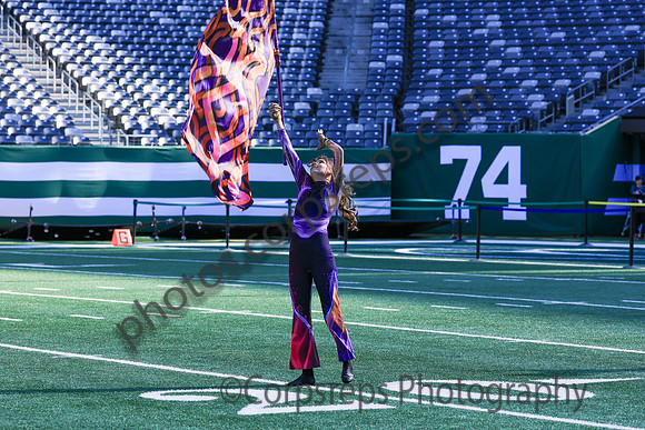 Princess Anne_251108_MetLife-jb00132