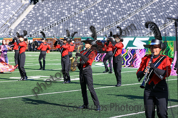 Princess Anne_251108_MetLife-jb00133