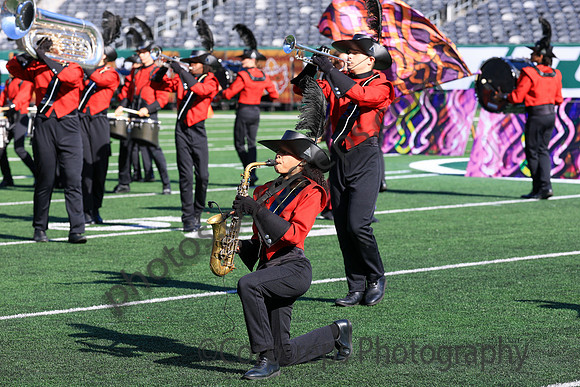 Princess Anne_251108_MetLife-jb00134