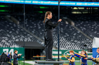 Spring-Ford_251108_MetLife-jb02555
