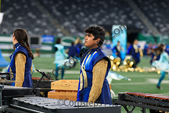 Spring-Ford_251108_MetLife-jb02564