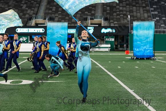 Spring-Ford_251108_MetLife-jb02567