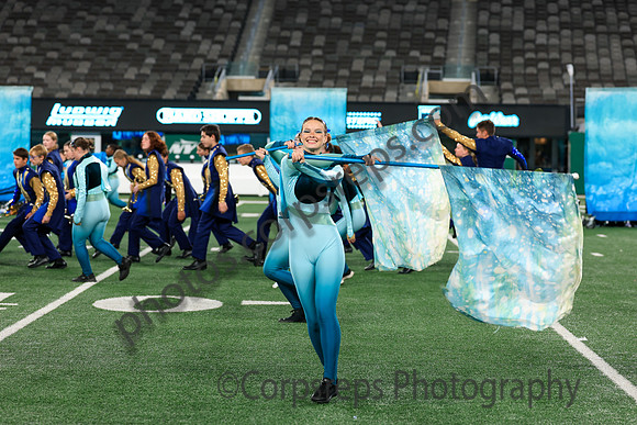 Spring-Ford_251108_MetLife-jb02566