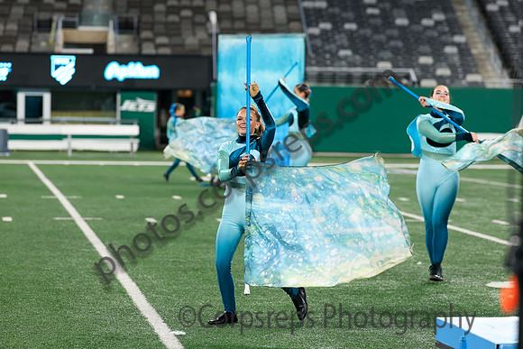 Spring-Ford_251108_MetLife-jb02575