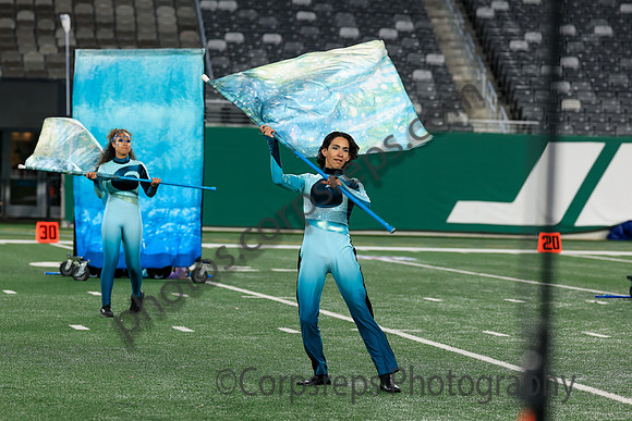 Spring-Ford_251108_MetLife-jb02579