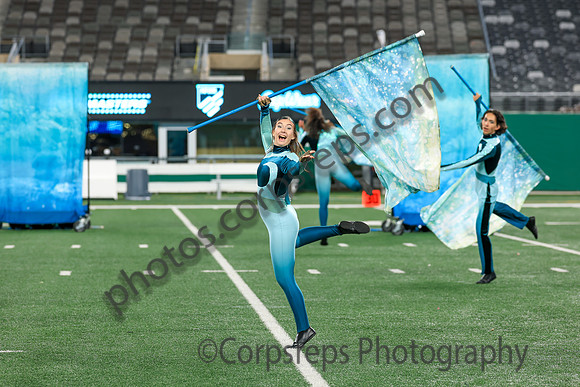 Spring-Ford_251108_MetLife-jb02578