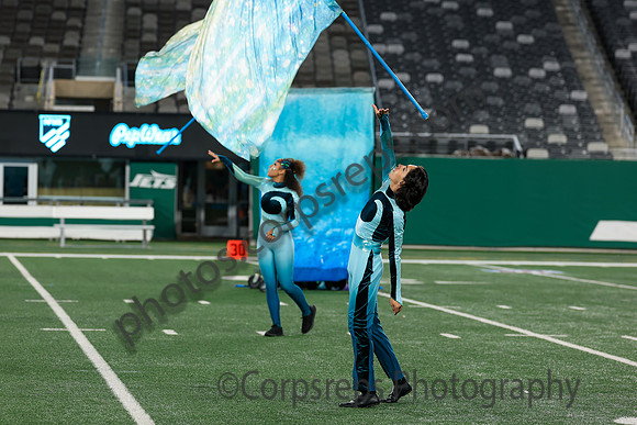 Spring-Ford_251108_MetLife-jb02581