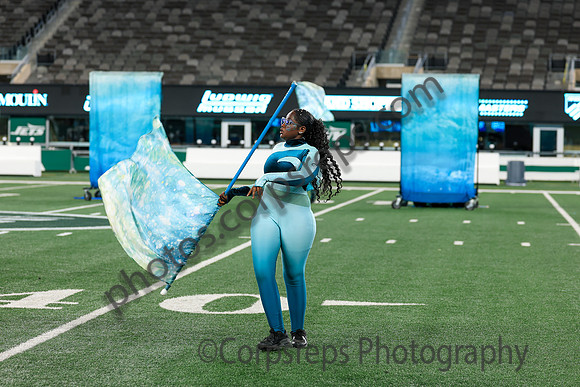 Spring-Ford_251108_MetLife-jb02585