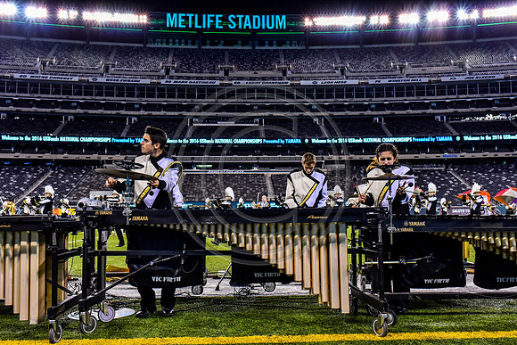 Trumbull_161112_MetLife-5159