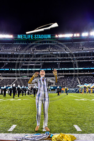 Trumbull_161112_MetLife-5169
