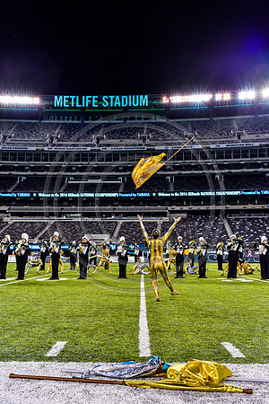 Trumbull_161112_MetLife-5165