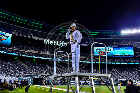 Trumbull_161112_MetLife-5154