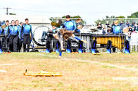 Gateway Regional_191013_Deptford-5470