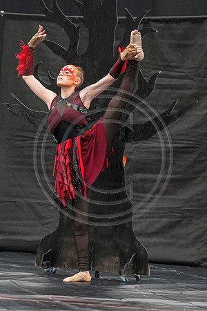Artemis Guard_230507_Wildwood-01569