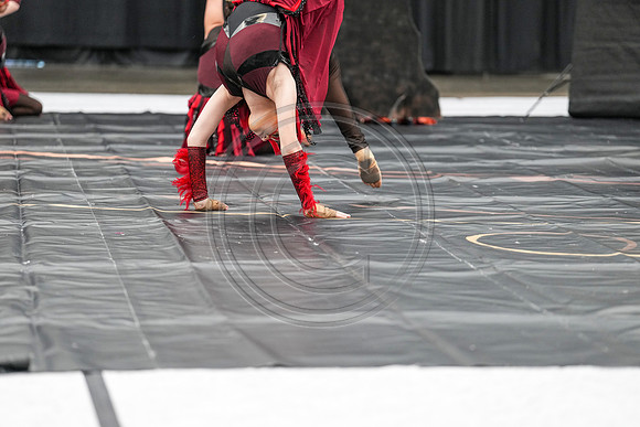 Artemis Guard_230507_Wildwood-01581