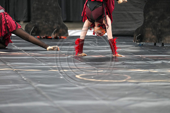 Artemis Guard_230507_Wildwood-01574