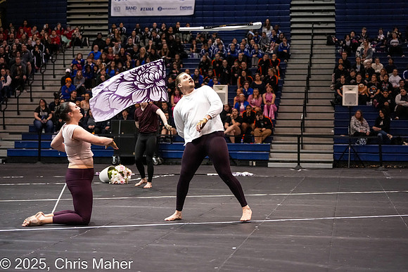 004-Purple Flight