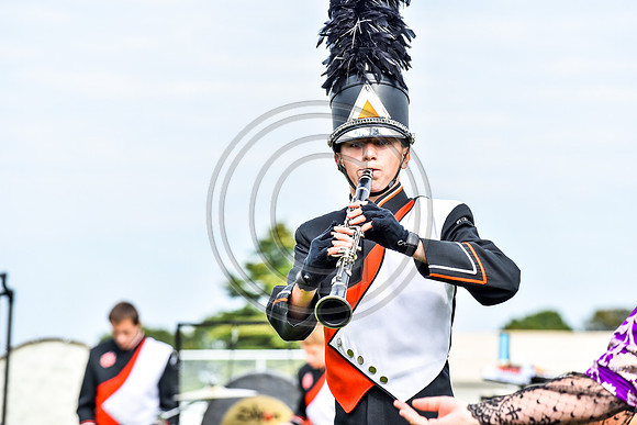 Pitman_161016_Deptford-4413