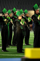 Birdville_251028_Arlington-cb00015