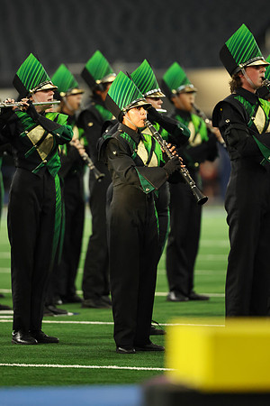 Birdville_251028_Arlington-cb00015