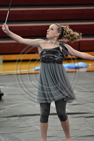 Bald Eagle Twirlers-463
