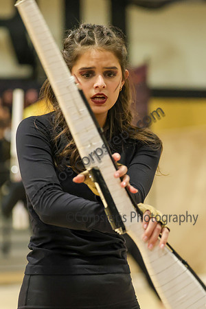 Wayne Hills Guard_260117_West Milford HS-jb01433