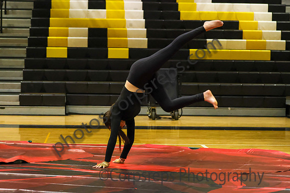 West Milford Guard_260117_West Milford HS-jb00002