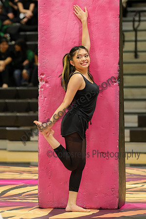 Winter Star_260117_West Milford HS-jb02497