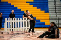 Hatboro-Horsham Guard_260117_Downingtown West-00378