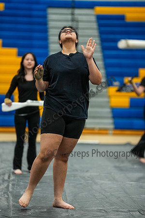 N-8 Winterguard_260117_Downingtown West-00608
