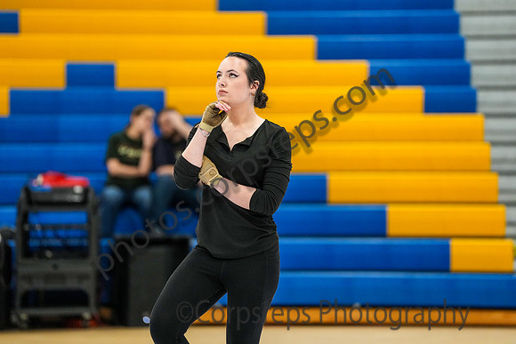 Avon Grove Guard_260117_Downingtown West-00919