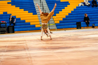 Downingtown West Guard_260117_Downingtown West-01387