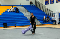 N-8 Winterguard_260117_Downingtown West-00465